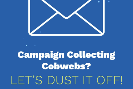 Dust off Campaigns with Darwill's Fresh Content