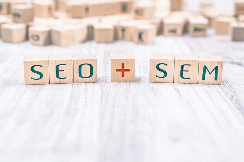 Dynamic Duo of SEO and SEM